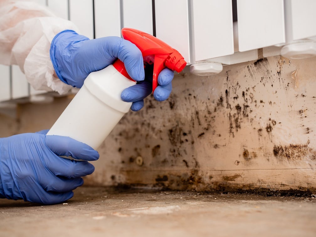 mold removal Anaheim CA